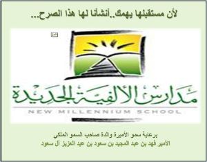 New Millennium School